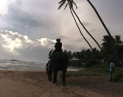Alyson and james riding into the sunset on an elephant at their wedding in Sri Lanka Alyson and james riding into the sunset on an elephant at their wedding in Sri Lanka