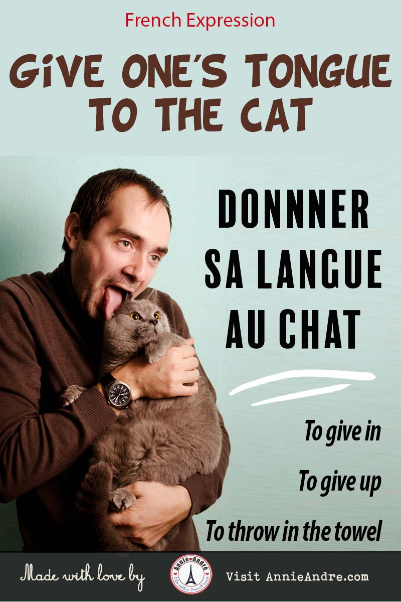 Man acting out French idiom: Give one's tongue to the cat.Donnner sa langue au chat