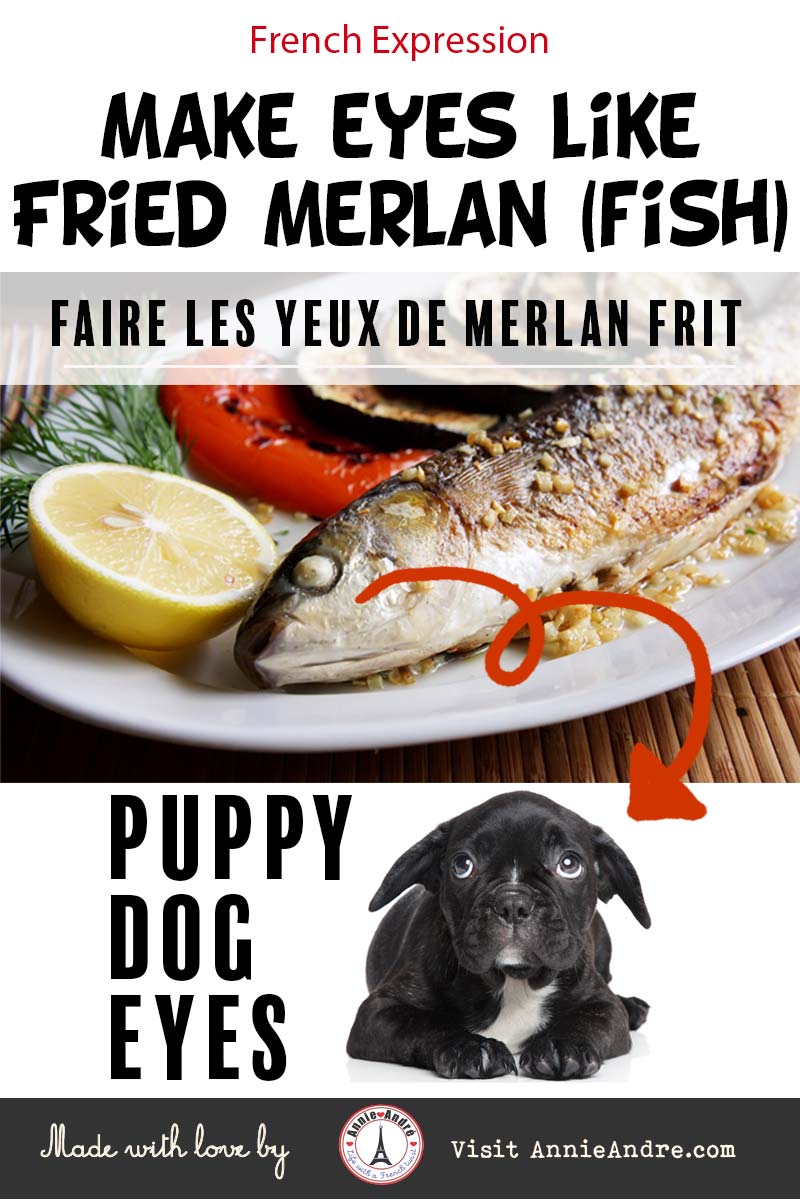 pinterest image of French expression "make eyes like fried merlan" or make fried merlan eyes"