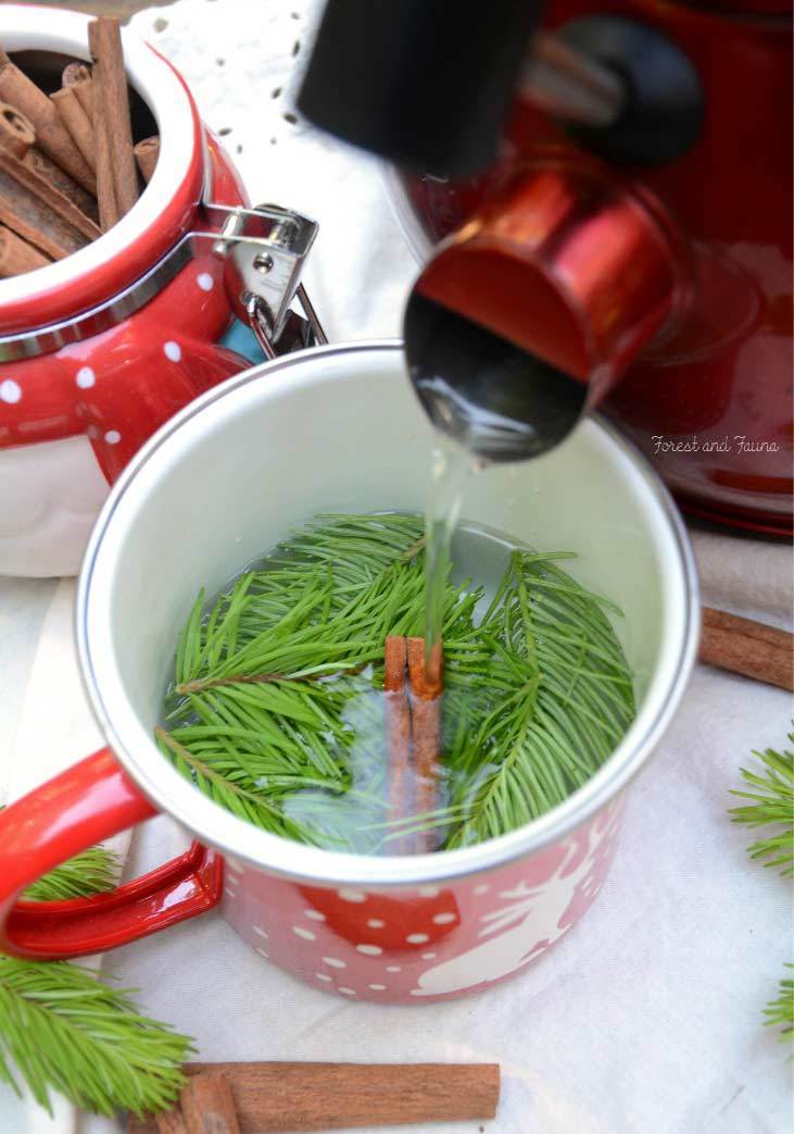 Fir Tree Tea recipe