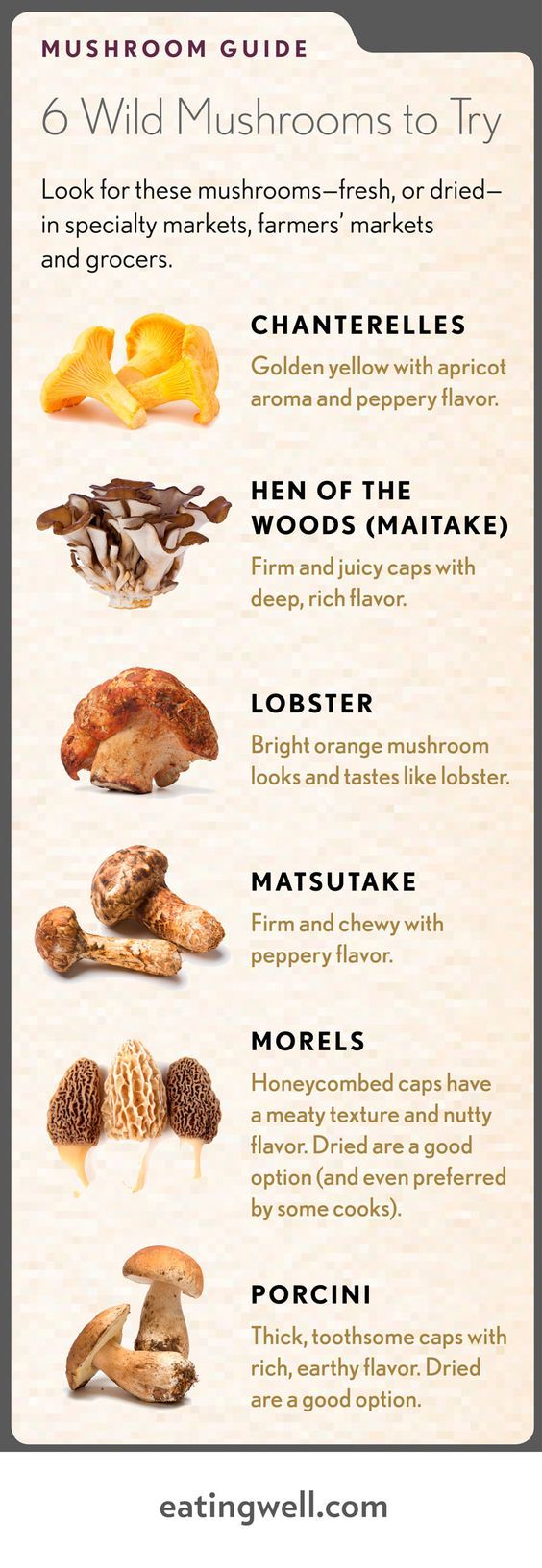 Mushroom Id Chart