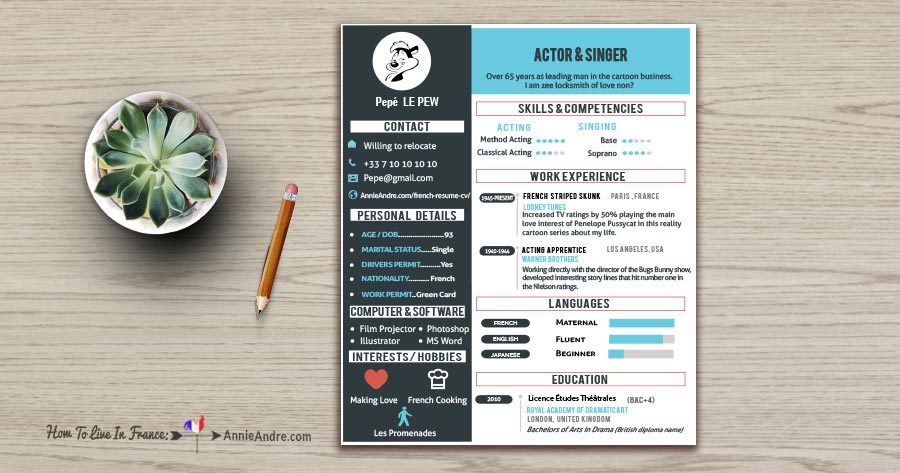 How To create the perfect attention grabbing French CV How To create the perfect attention grabbing French CV