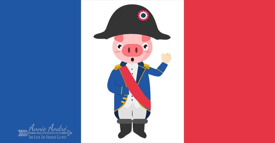 There is no French law that prohibits you from naming your pig Napoleon in France There is no French law that prohibits you from naming your pig Napoleon in France