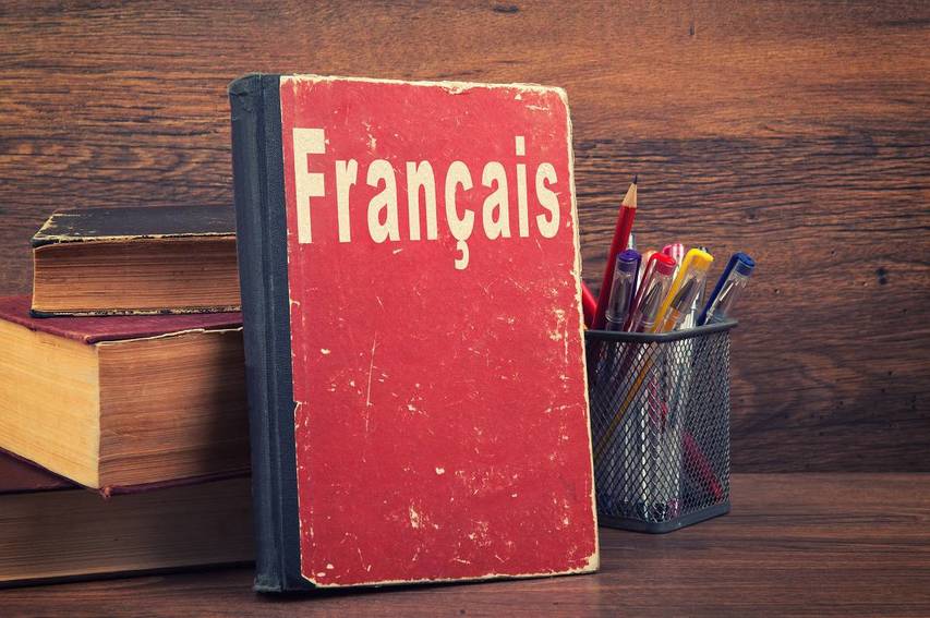 Best French Textbook for Any Level - annieandre.com