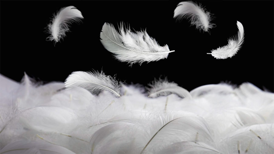 Why are hotel pillows so comfortable? Mystery solved!